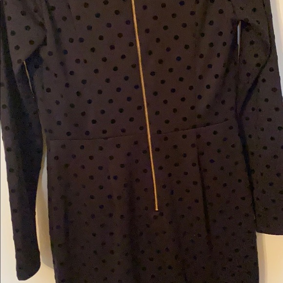 THE LIMITED LS Velvet Polkadot Dress - Picture 5 of 7